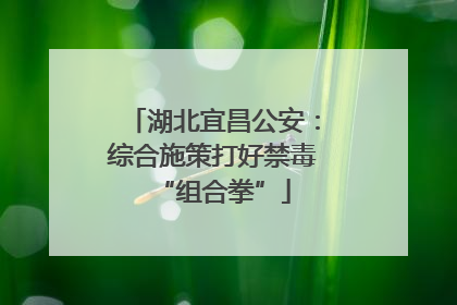 湖北宜昌公安：综合施策打好禁毒“组合拳”