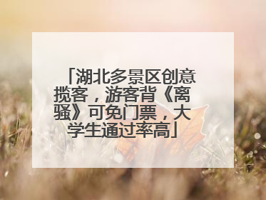 湖北多景区创意揽客，游客背《离骚》可免门票，大学生通过率高