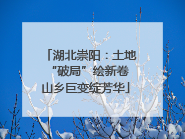 湖北崇阳：土地“破局”绘新卷 山乡巨变绽芳华