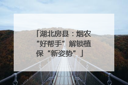 湖北房县：烟农“好帮手”解锁植保“新姿势”