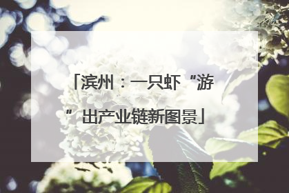 滨州：一只虾“游”出产业链新图景