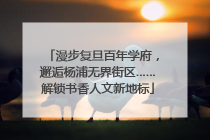 漫步复旦百年学府，邂逅杨浦无界街区……解锁书香人文新地标