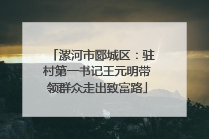 漯河市郾城区：驻村第一书记王元明带领群众走出致富路