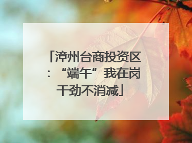 漳州台商投资区：“端午”我在岗 干劲不消减
