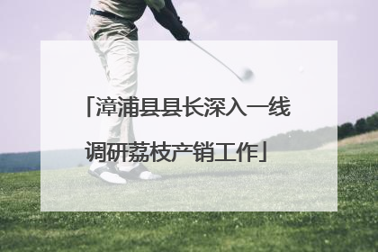 漳浦县县长深入一线调研荔枝产销工作