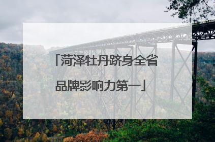 菏泽牡丹跻身全省品牌影响力第一