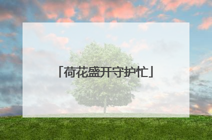 荷花盛开守护忙