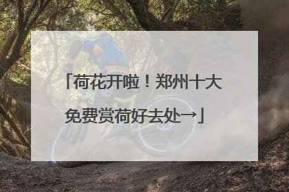 荷花开啦！郑州十大免费赏荷好去处→