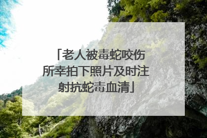 老人被毒蛇咬伤 所幸拍下照片及时注射抗蛇毒血清