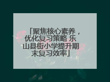 聚焦核心素养，优化复习策略 乐山县街小学提升期末复习效率