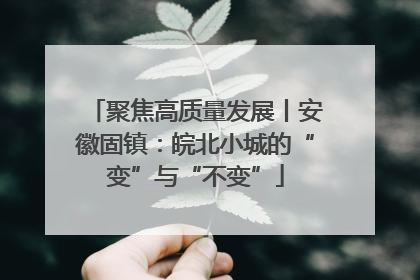 聚焦高质量发展丨安徽固镇：皖北小城的“变”与“不变”