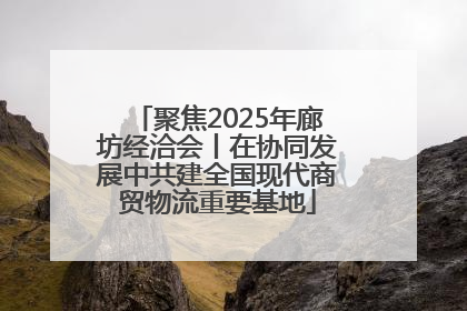 聚焦2025年廊坊经洽会丨在协同发展中共建全国现代商贸物流重要基地