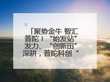 聚势金牛 智汇普陀〡“始发站”发力、“创新田”深耕，普陀科创“金牛”闪耀