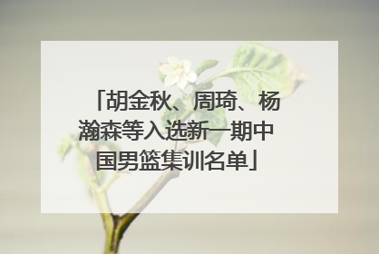 胡金秋、周琦、杨瀚森等入选新一期中国男篮集训名单