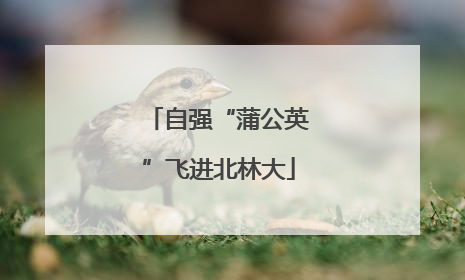自强“蒲公英”飞进北林大