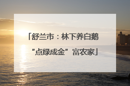 舒兰市：林下养白鹅 “点绿成金”富农家