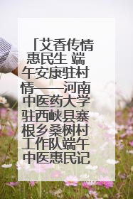 艾香传情惠民生 端午安康驻村情——河南中医药大学驻西峡县寨根乡桑树村工作队端午中医惠民记
