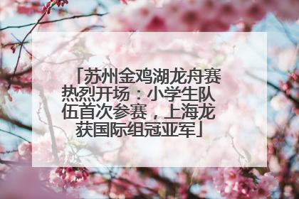 苏州金鸡湖龙舟赛热烈开场：小学生队伍首次参赛，上海龙获国际组冠亚军