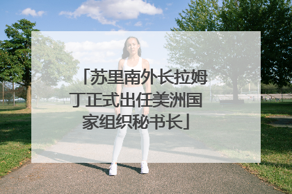 苏里南外长拉姆丁正式出任美洲国家组织秘书长