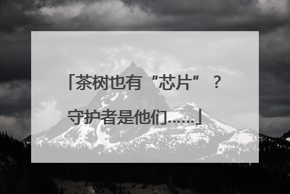 茶树也有“芯片”？守护者是他们……