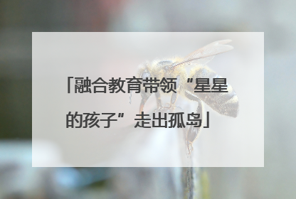 融合教育带领“星星的孩子”走出孤岛