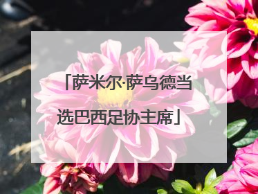 萨米尔·萨乌德当选巴西足协主席