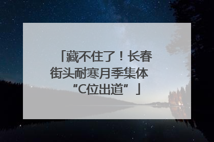 藏不住了！长春街头耐寒月季集体“C位出道”