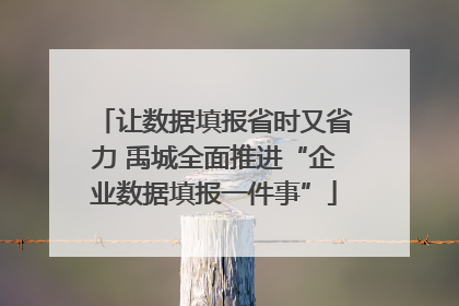 让数据填报省时又省力 禹城全面推进“企业数据填报一件事”