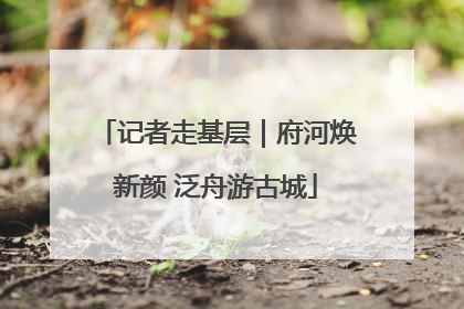记者走基层｜府河焕新颜 泛舟游古城