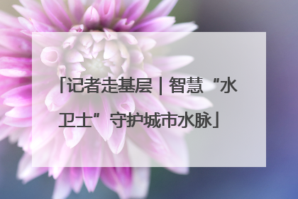 记者走基层｜智慧“水卫士”守护城市水脉