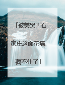 被美哭！石家庄这面花墙藏不住了