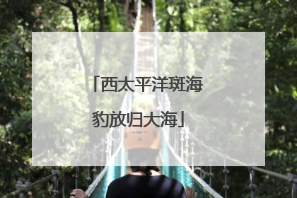 西太平洋斑海豹放归大海