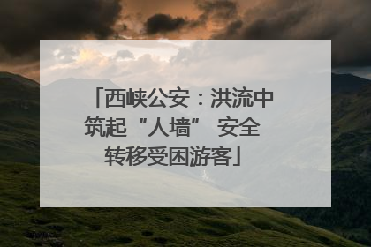 西峡公安：洪流中筑起“人墙” 安全转移受困游客