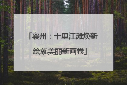 襄州：十里江滩焕新 绘就美丽新画卷