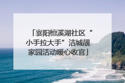 襄阳檀溪湖社区“小手拉大手”洁城靓家园活动暖心收官