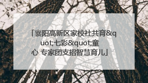 襄阳高新区家校社共育"七彩"童心 专家团支招智慧育儿