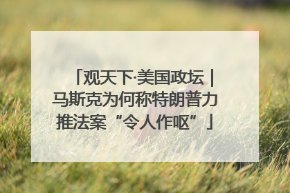 观天下·美国政坛｜马斯克为何称特朗普力推法案“令人作呕”