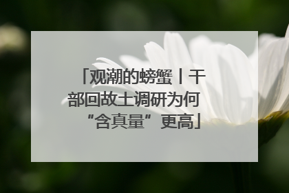 观潮的螃蟹丨干部回故土调研为何“含真量”更高
