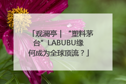 观澜亭｜“塑料茅台”LABUBU缘何成为全球顶流？
