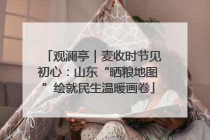 观澜亭｜麦收时节见初心：山东“晒粮地图”绘就民生温暖画卷