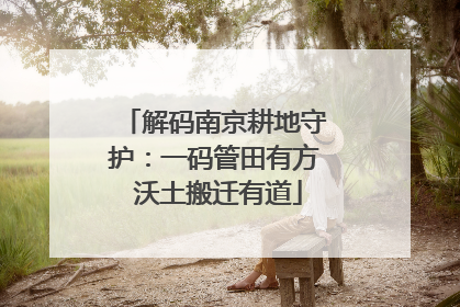 解码南京耕地守护：一码管田有方 沃土搬迁有道