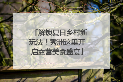 解锁夏日乡村新玩法！秀洲这里开启露营美食盛宴