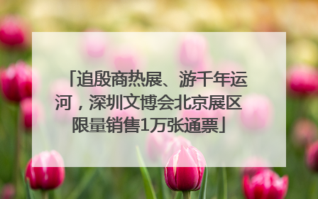 追殷商热展、游千年运河，深圳文博会北京展区限量销售1万张通票