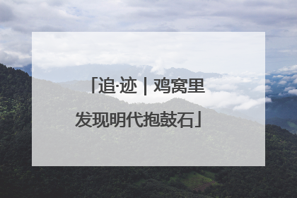 追·迹｜鸡窝里发现明代抱鼓石