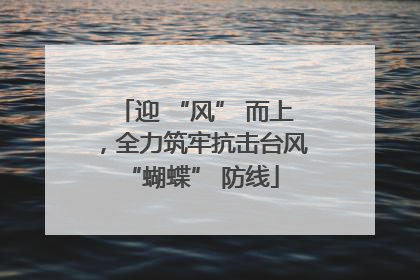 迎 “风” 而上，全力筑牢抗击台风 “蝴蝶” 防线