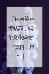 运河笑声传姑苏，端午文化盛宴“笑料十足”