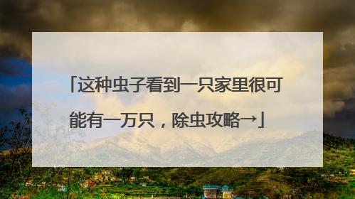 这种虫子看到一只家里很可能有一万只，除虫攻略→