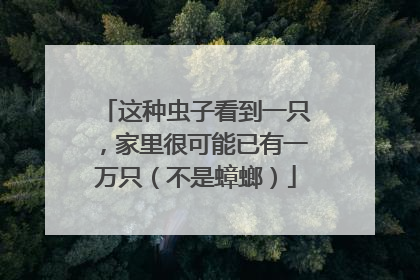 这种虫子看到一只，家里很可能已有一万只（不是蟑螂）