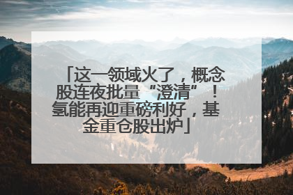 这一领域火了，概念股连夜批量“澄清”！氢能再迎重磅利好，基金重仓股出炉