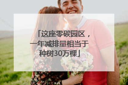 这座零碳园区，一年减排量相当于种树30万棵